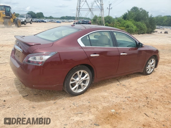 2013 Nissan Maxima SV with VIN 1N4AA5APXDC844535, listed as a Copart auction lot 59516355 with 215,897 mi miles and Salvage title. Bid and sale history available at DreamBid. Image 3.
