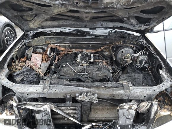 2015 Nissan Frontier SV with VIN 1N6AD0EV9FN748932, listed as a Copart auction lot 50177325 with Not provided miles and Salvage title. Bid and sale history available at DreamBid. Image 11.