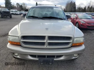 2001 Dodge Durango z VIN 1B4HS28Z91F588746, wystawiony jako Copart lot #44464625 z przebiegiem 61 005 mil mil oraz Szkoda całkowita • Salvage title. Historia ofert i sprzedaży dostępna na DreamBid. Obrazek 5.
