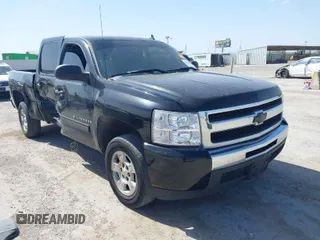 2009 Chevrolet Silverado 1500 LT with VIN 3GCEC23J09G274224, listed as a IAAI auction lot 41809059 with 142,349 mi miles. Bid and sale history available at carsss.com. Image 1.