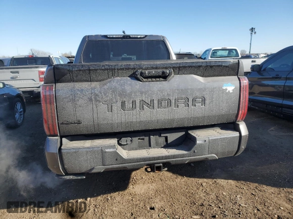 2023 Toyota Tundra Platinum with VIN 5TFNA5DB6PX102836, listed as a Copart auction lot 88541885 with 22,828 mi miles and Salvage title. Bid and sale history available at DreamBid. Image 6.
