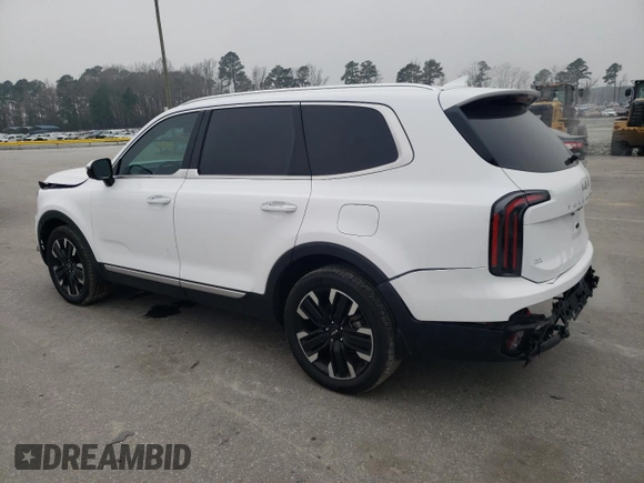 2024 Kia Telluride SX X-Pro with VIN 5XYP5DGC4RG544175, listed as a Copart auction lot 48980245 with 14,624 mi miles and Salvage title. Bid and sale history available at DreamBid. Image 2.