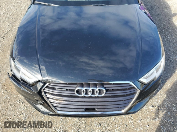 2019 Audi A3 Sedan Premium with VIN WAUBEGFF3K1018243, listed as a Copart auction lot 44052345 with 93,599 mi miles and Salvage Title. Bid and sale history available at carsss.com. Image 11.