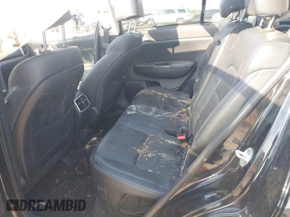 2017 Kia Sportage EX with VIN KNDPN3AC3H7134627, listed as a IAAI auction lot 42136211 with Not provided miles and . Bid and sale history available at DreamBid. Image 8.