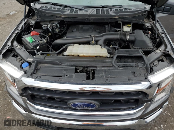 2023 Ford F-150 XL with VIN 1FTEW1C81PKD23631, listed as a Copart auction lot 65600155 with 34,252 mi miles and Clean title. Bid and sale history available at DreamBid. Image 11.