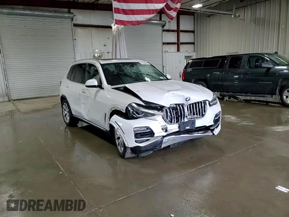 2020 BMW X5 xDrive40i with VIN 5UXCR6C09L9B69226, listed as a Copart auction lot 61435965 with Not provided miles and Salvage title. Bid and sale history available at DreamBid. Image 14.