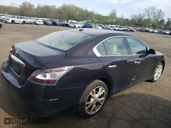 2013 Nissan Maxima SV with VIN 1N4AA5AP8DC820217, listed as a Copart auction lot 54368745 with 169,921 mi miles and Salvage Title. Bid and sale history available at DreamBid. Image 3.