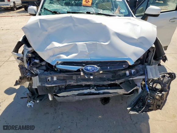 2017 Subaru Forester Premium with VIN JF2SJAEC5HH492229, listed as a Copart auction lot 49803145 with 0 mi miles and Salvage Title. Bid and sale history available at carsss.com. Image 12.