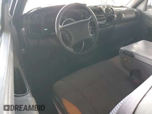 1999 Dodge 1500 with VIN 3B7HC12Y2XG220300, listed as a Copart auction lot 48817305 with 273,066 mi miles and Salvage Title. Bid and sale history available at DreamBid. Image 8.