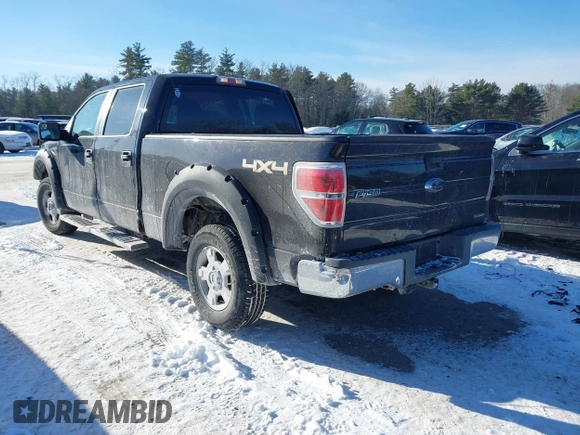 2014 Ford F-150 XL with VIN 1FTFW1EF4EFB64254, listed as a IAAI auction lot 41396483 with 145,134 mi miles and . Bid and sale history available at carsss.com. Image 3.