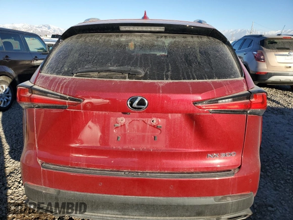 2018 Lexus NX with VIN JTJBARBZ4J2162707, listed as a Copart auction lot 89142635 with 47,038 mi miles and Salvage Title. Bid and sale history available at carsss.com. Image 6.