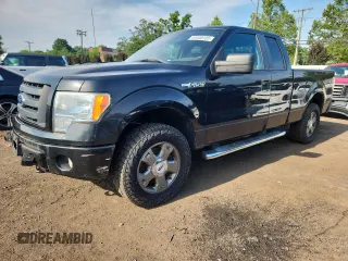 2010 Ford F-150 XL with VIN 1FTEX1E84AFB67904, listed as a Copart auction lot 64448135 with 139,156 mi miles and Clean title. Bid and sale history available at DreamBid. Image 1.