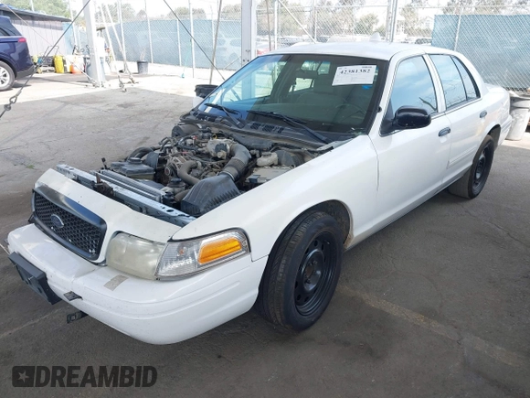 2009 Ford Police Interceptor with VIN 2FAHP71V29X129265, listed as a IAAI auction lot 42381382 with Not provided miles and . Bid and sale history available at DreamBid. Image 17.