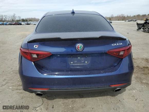 2018 Alfa Romeo Giulia with VIN ZARFAEDN7J7590223, listed as a Copart auction lot 49301005 with 113,535 mi miles and Salvage Title. Bid and sale history available at carsss.com. Image 6.