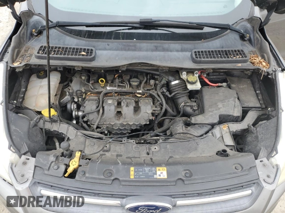 2013 Ford Escape SE with VIN 1FMCU0G94DUD12287, listed as a Copart auction lot 53066385 with 119,729 mi miles and Salvage Title. Bid and sale history available at carsss.com. Image 13.