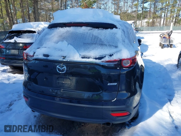 2019 Mazda CX-9 Touring with VIN JM3TCACY0K0322742, listed as a IAAI auction lot 41617659 with 122,041 mi miles. Bid and sale history available at carsss.com. Image 16.