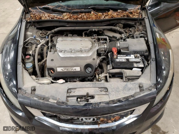 2010 Honda Accord Cpe EX-L with VIN 1HGCS2B86AA009160, listed as a Copart auction lot 86660294 with NaN miles and Clean Title. Bid and sale history available at carsss.com. Image 11.