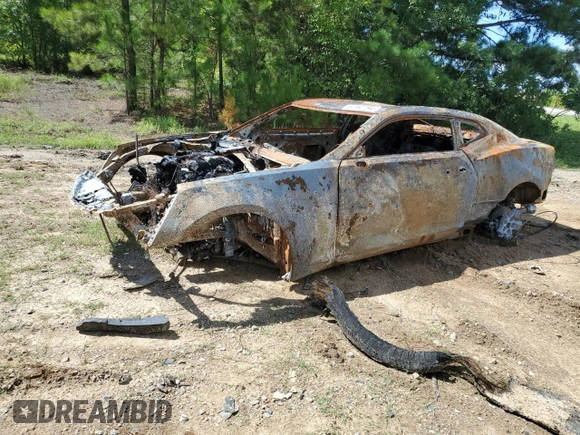 2019 Chevrolet Camaro 2LT with VIN 1G1FD1RS9K0158423, listed as a Copart auction lot 64162794 with 0 mi miles and Salvage Title. Bid and sale history available at carsss.com. Image 1.