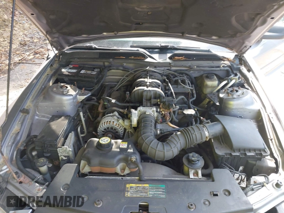 2006 Ford Mustang Standard with VIN 1ZVFT84N865179760, listed as a IAAI auction lot 42629541 with 90,095 mi miles and . Bid and sale history available at DreamBid. Image 10.