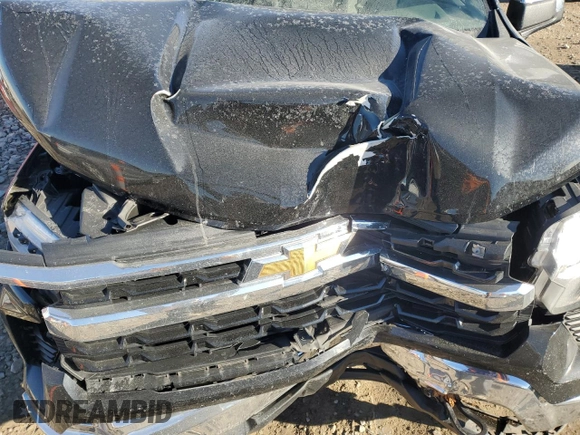 2023 Chevrolet Silverado 1500 LT with VIN 3GCPDKEK8PG130347, listed as a Copart auction lot 81558274 with 0 mi miles and Salvage Title. Bid and sale history available at carsss.com. Image 11.