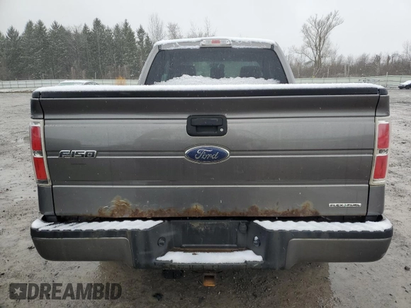 2013 Ford F-150 XL with VIN 1FTFX1EF4DFC75804, listed as a Copart auction lot 53296965 with 179,556 mi miles and Clean Title. Bid and sale history available at carsss.com. Image 6.