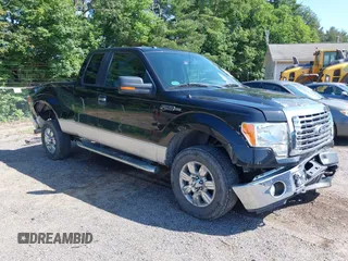 2011 Ford F-150 XL with VIN 1FTFX1EF5BFA30281, listed as a IAAI auction lot 42638798 with 194,071 mi miles and . Bid and sale history available at DreamBid. Image 1.