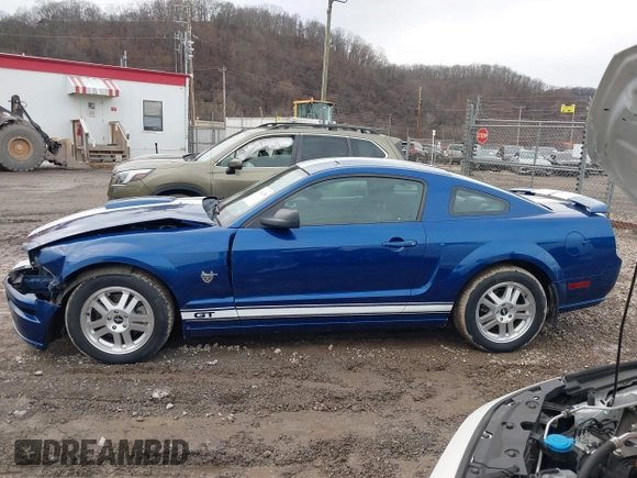 2009 Ford Mustang GT with VIN 1ZVHT82HX95119781, listed as a IAAI auction lot 41482288 with 70,757 mi miles and . Bid and sale history available at DreamBid. Image 14.