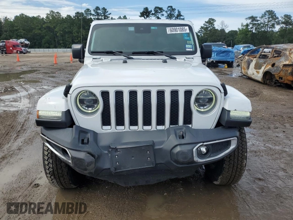 2019 Jeep Wrangler Unlimited Sahara with VIN 1C4HJXEG9KW547685, listed as a Copart auction lot 60901085 with 81,169 mi miles and Salvage title. Bid and sale history available at DreamBid. Image 5.