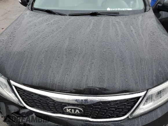2014 Kia Sorento LX with VIN 5XYKT4A68EG477464, listed as a Copart auction lot 45084575 with 0 mi miles and Salvage Title. Bid and sale history available at carsss.com. Image 11.