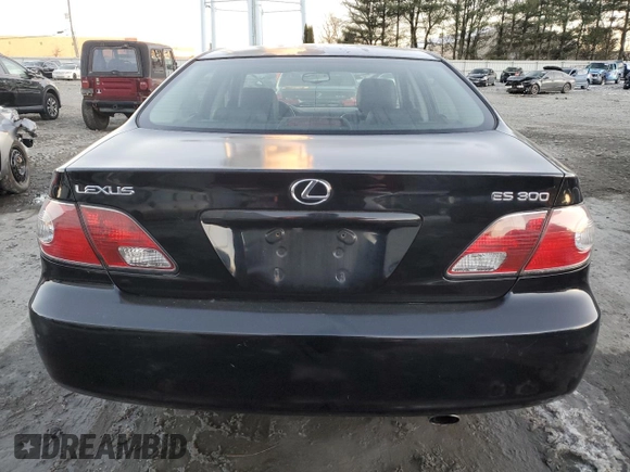 2002 Lexus ES 300 with VIN JTHBF30G820034663, listed as a Copart auction lot 86372184 with 133,837 mi miles and Salvage title. Bid and sale history available at DreamBid. Image 6.