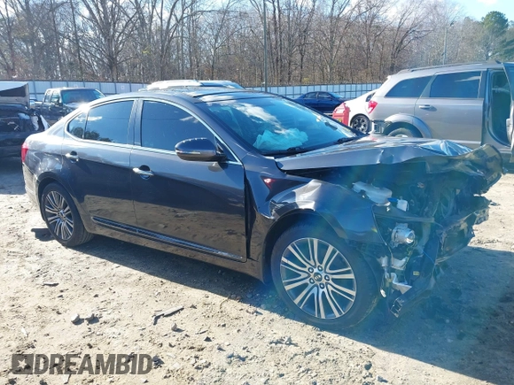 2015 Kia Cadenza Premium with VIN KNALN4D73F5180273, listed as a IAAI auction lot 41222537 with 127,348 mi miles. Bid and sale history available at carsss.com. Image 13.