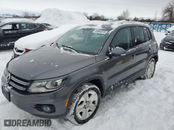 2013 Volkswagen Tiguan S with VIN WVGJV3AX2DW617899, listed as a Copart auction lot 45664075 with 172,380 mi miles and Clean title. Bid and sale history available at DreamBid. Image 1.