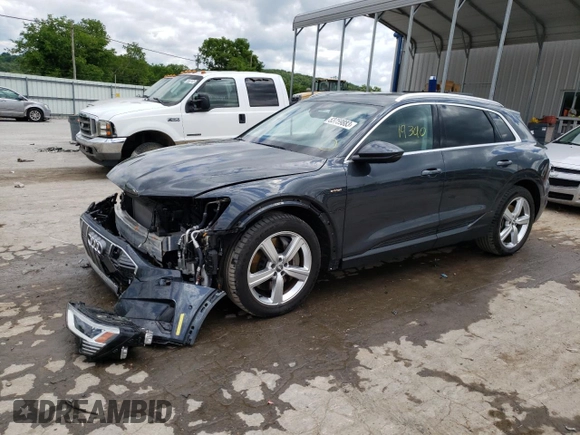 2019 Audi e-tron Premium Plus with VIN WA1LAAGE7KB024699, listed as a Copart auction lot 53759883 with 19,340 mi miles. Bid and sale history available at carsss.com. Image 1.