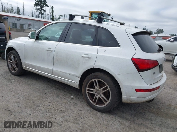 2013 Audi Q5 Premium Plus with VIN WA1LFAFP7DA087380, listed as a IAAI auction lot 42639650 with 132,744 mi miles and . Bid and sale history available at DreamBid. Image 3.