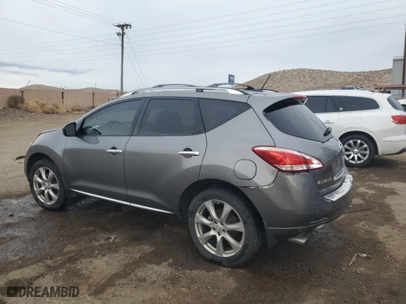 2013 Nissan Murano SL with VIN JN8AZ1MW6DW316539, listed as a Copart auction lot 45643175 with 113,163 mi miles and Salvage Title. Bid and sale history available at carsss.com. Image 2.
