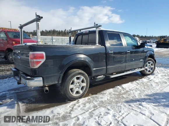 2014 Ford F-150 XL with VIN 1FTFW1ET9EFB72484, listed as a Copart auction lot 46897505 with 0 mi miles and Salvage Title. Bid and sale history available at carsss.com. Image 3.