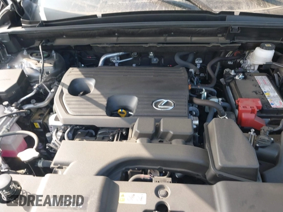 2024 Lexus NX 250 with VIN JTJADCAZ9R2012153, listed as a IAAI auction lot 41223362 with 10,031 mi miles and . Bid and sale history available at DreamBid. Image 10.
