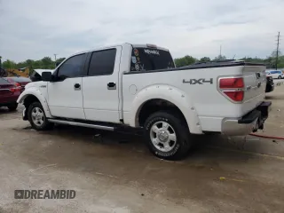 2009 Ford F-150 XL with VIN 1FTRW14869FA71810, listed as a Copart auction lot 55146085 with 191,405 mi miles and Non repairable. Bid and sale history available at DreamBid. Image 2.