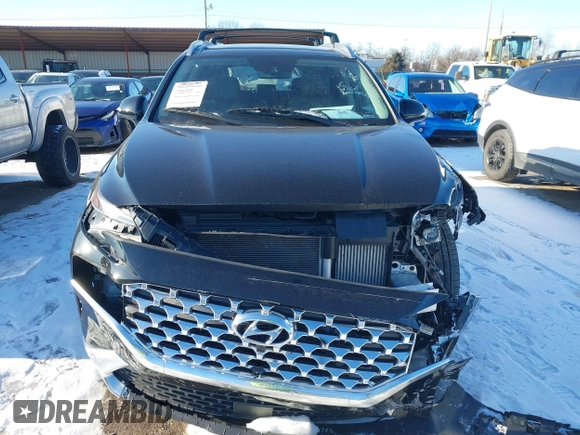 2022 Hyundai Santa Fe Limited with VIN 5NMS4DAL3NH465165, listed as a IAAI auction lot 41362783 with 31,841 mi miles. Bid and sale history available at carsss.com. Image 12.