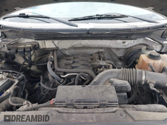 2011 Ford F-150 XL with VIN 1FTFW1CF0BFA17444, listed as a IAAI auction lot 42110691 with 230,631 mi miles and . Bid and sale history available at DreamBid. Image 10.