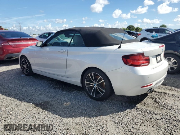 2020 BMW 2 Series 230i with VIN WBA2M7C02L7D87129, listed as a Copart auction lot 73876264 with 0 mi miles and Salvage Title. Bid and sale history available at carsss.com. Image 2.