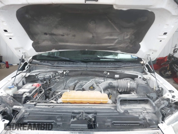 2016 Ford F-150 XL with VIN 1FTEW1CF5GKD18477, listed as a IAAI auction lot 41295275 with 168,271 mi miles and . Bid and sale history available at DreamBid. Image 10.