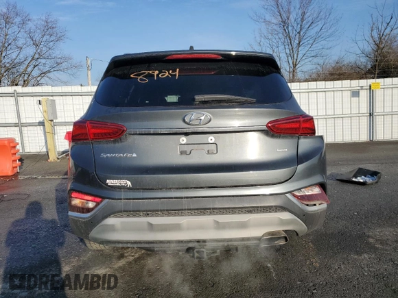 2019 Hyundai Santa Fe Limited with VIN 5NMS5CAD2KH048924, listed as a Copart auction lot 43625285 with 118,874 mi miles and Salvage Title. Bid and sale history available at carsss.com. Image 6.