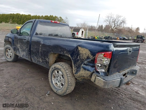 2009 Chevrolet Silverado 1500 Work Truck with VIN 1GCEK14C59Z127247, listed as a IAAI auction lot 41960753 with 128,360 mi miles. Bid and sale history available at carsss.com. Image 3.