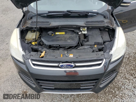 2013 Ford Escape SEL with VIN 1FMCU0HX8DUA35690, listed as a Copart auction lot 64437305 with 171,635 mi miles and Clean title. Bid and sale history available at DreamBid. Image 12.