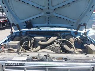 1986 Ford F-150 with VIN 1FTEX14N8GKA92289, listed as a IAAI auction lot 42089084 with 33,539 mi miles. Bid and sale history available at carsss.com. Image 10.