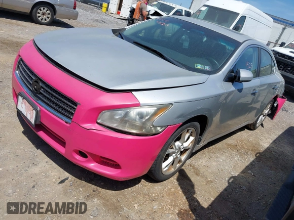2013 Nissan Maxima SV with VIN 1N4AA5AP8DC835025, listed as a IAAI auction lot 42104523 with 172,434 mi miles and . Bid and sale history available at DreamBid. Image 2.