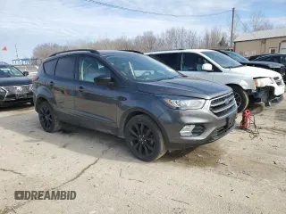 2019 Ford Escape SE with VIN 1FMCU0GDXKUA46873, listed as a Copart auction lot 44201505 with 123,631 mi miles and Salvage Title. Bid and sale history available at carsss.com. Image 4.