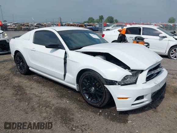 2014 Ford Mustang V6 с VIN 1ZVBP8AM2E5318701, выставлен на аукционе IAAI как лот 42265557 с пробегом 97 870 миль миль и . История ставок и продаж доступна на DreamBid. Изображение 1.