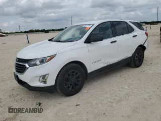 2019 Chevrolet Equinox LT with VIN 3GNAXKEV6KS505916, listed as a Copart auction lot 53357255 with 110,309 mi miles and Salvage Title. Bid and sale history available at DreamBid. Image 1.